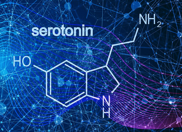 Hội chứng serotonin